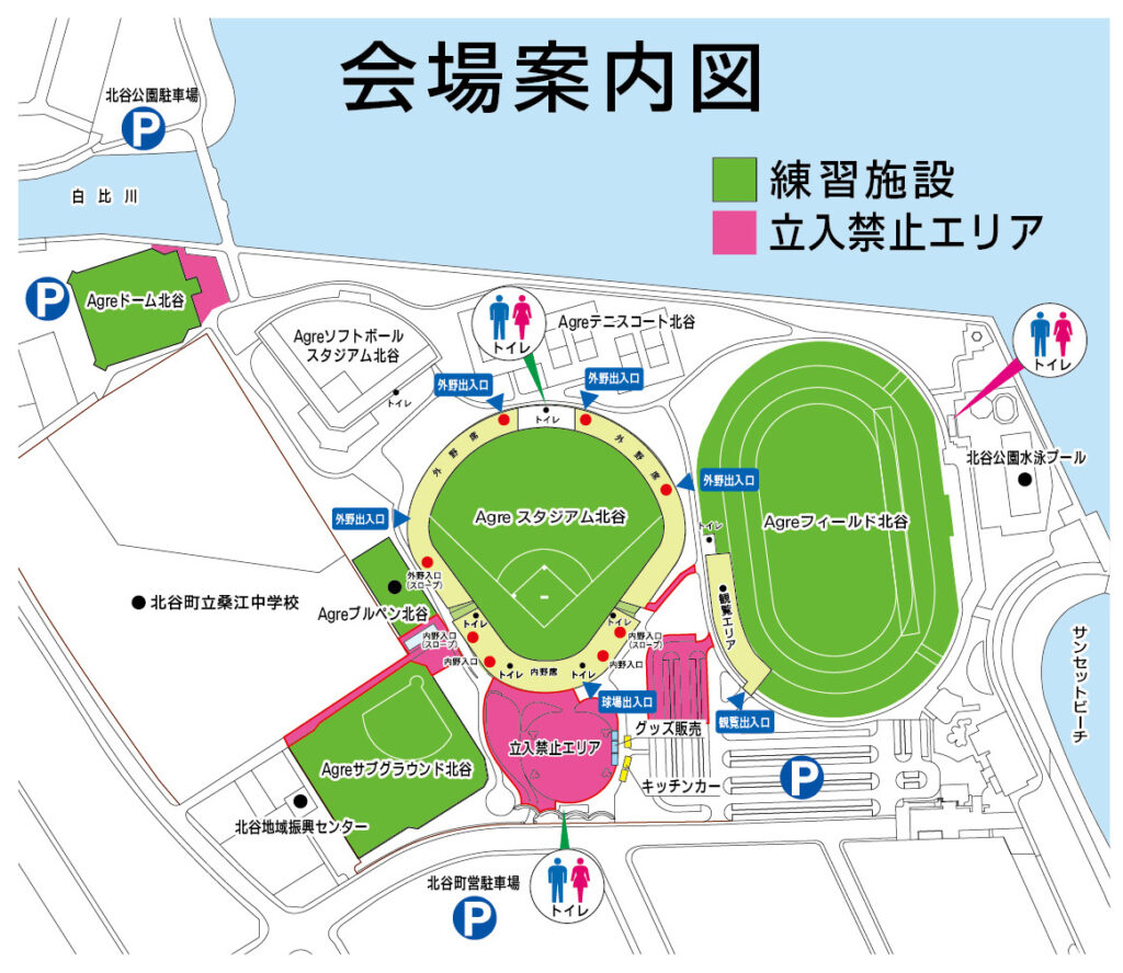 中 日 キャンプ