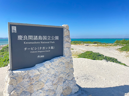 ナガンヌ島の桟橋とサンゴ礁の海